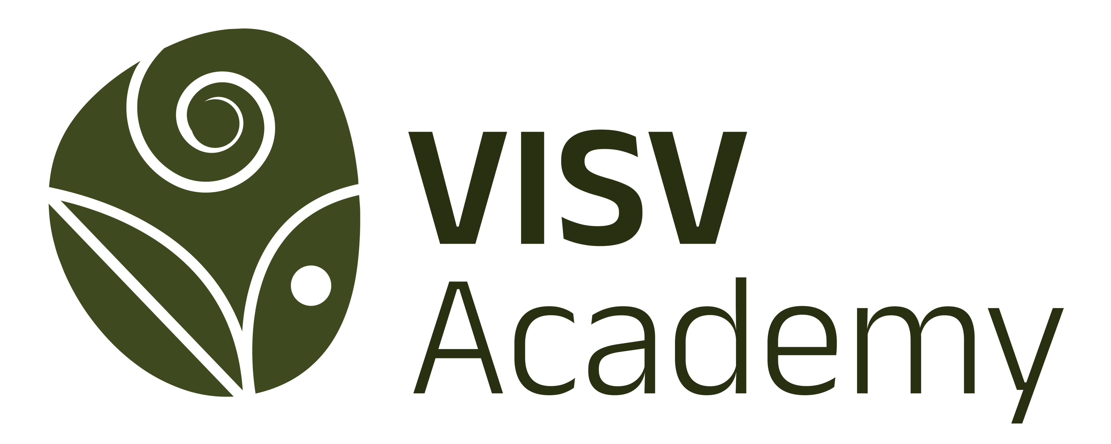 VISV Foundation